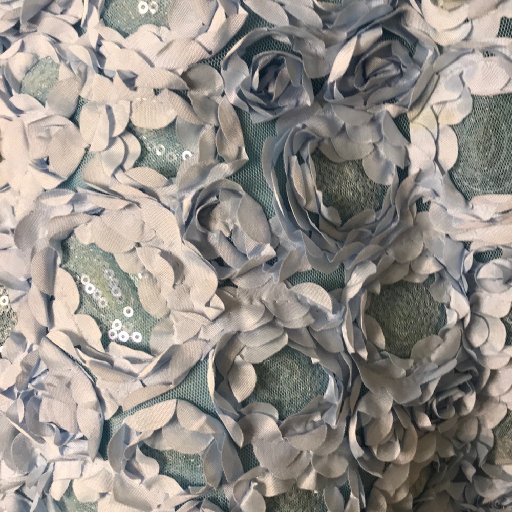 Baby Blue Ruffled/Flower Dress - Picture 4 of 4